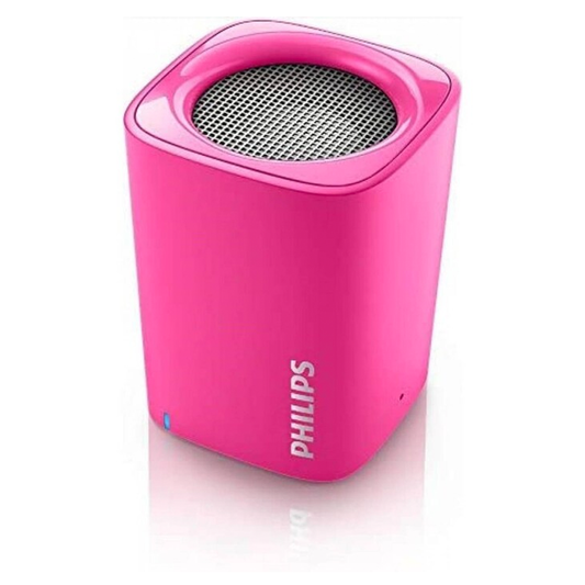 Philips 2W RMS